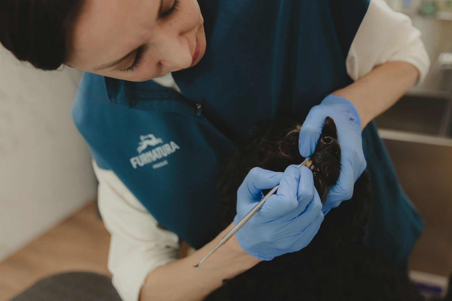 Dentální hygiena pro psy
