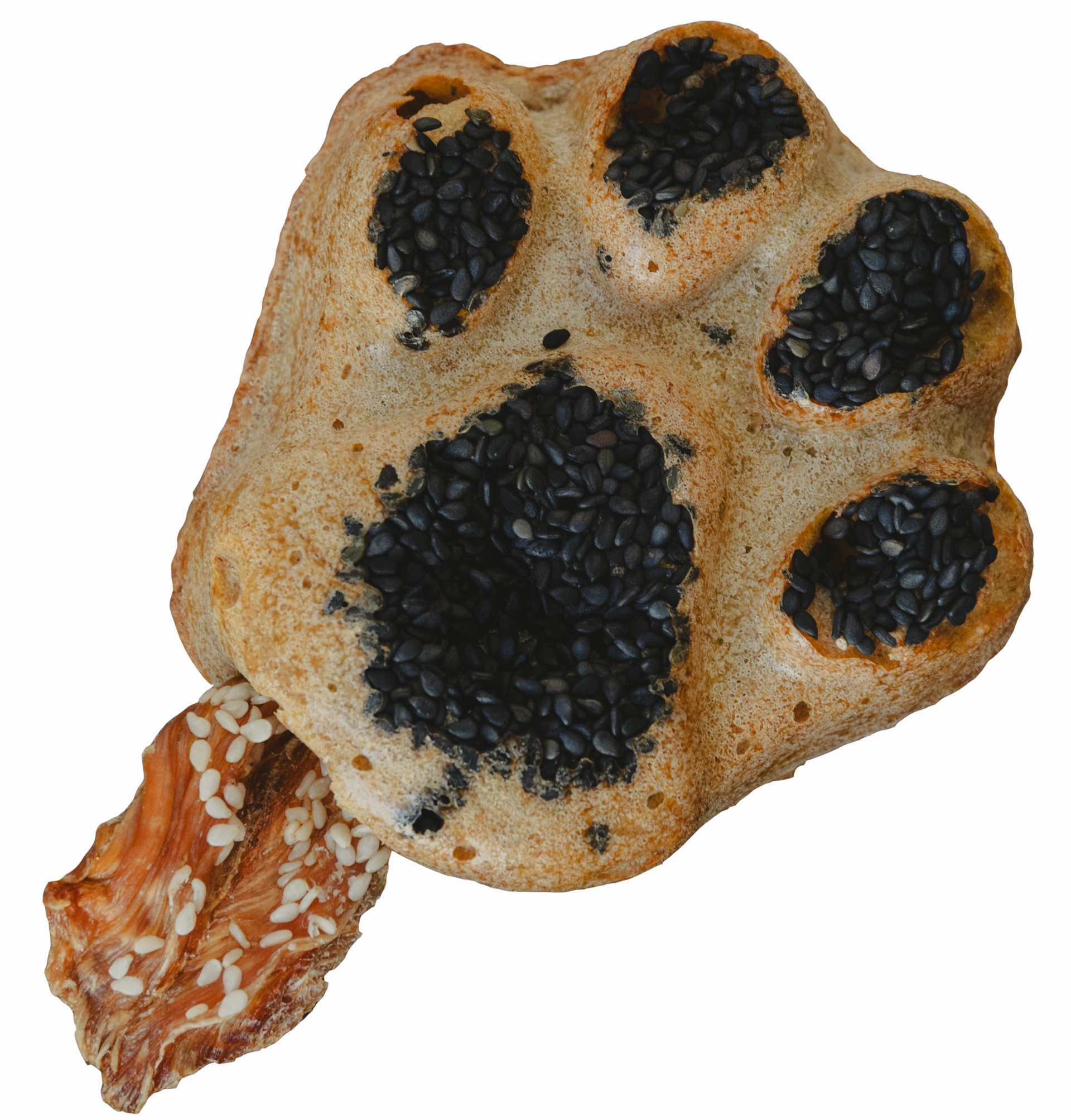 Tlapka